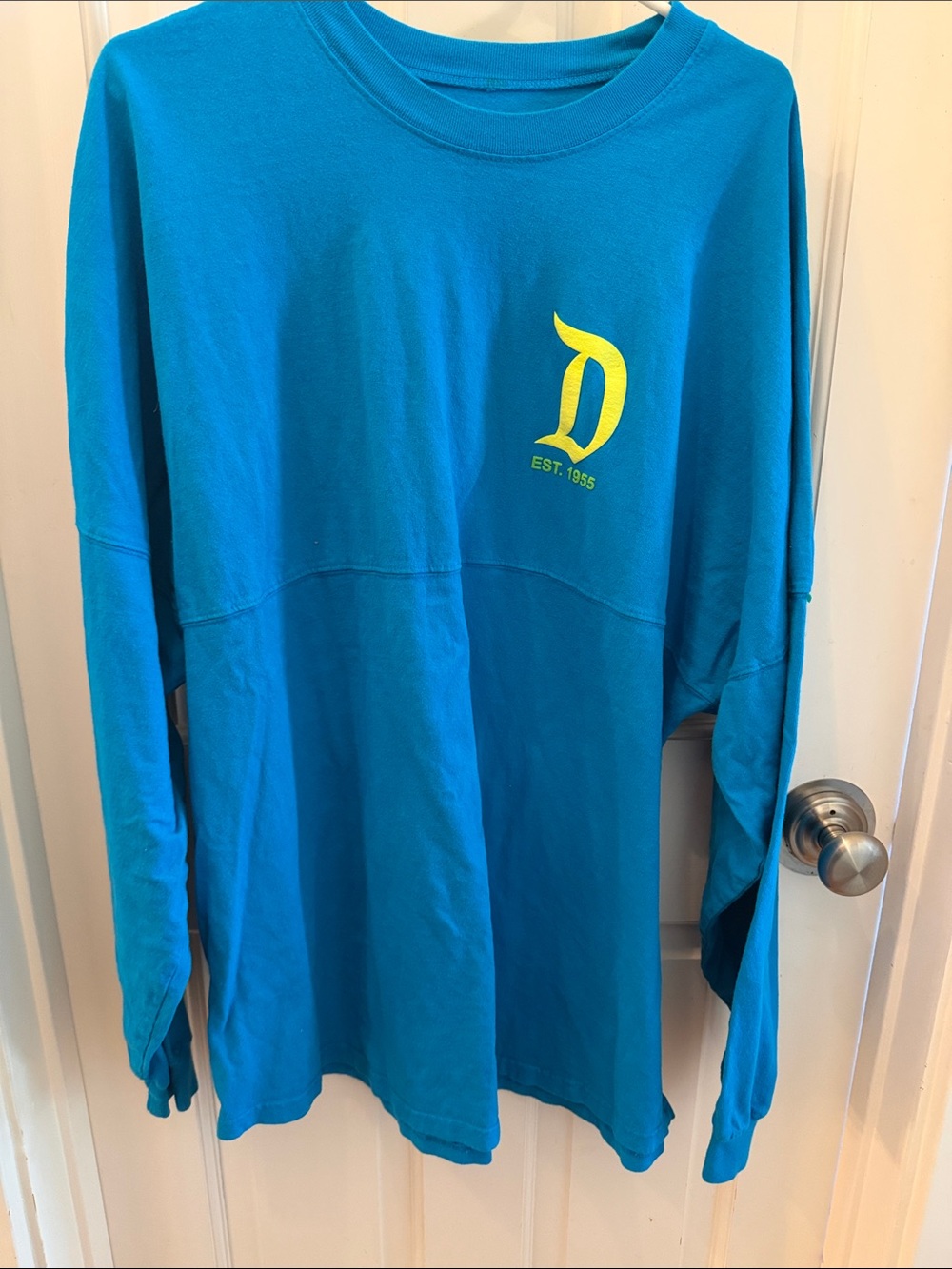 Disneyland Spirit Jersey